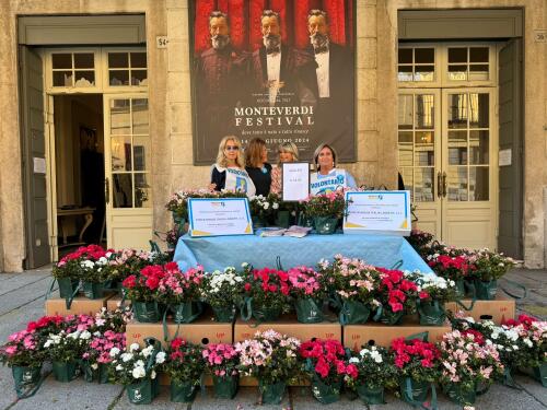 Azalee della ricerca 2025: l'8 maggio e nel weekend un fiore per sostenere AIRC e la ricerca sui tumori femminili