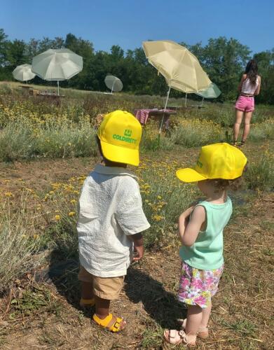 Coldiretti Cremona: un'estate tutta da vivere in fattoria