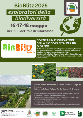 Torna "Bioblitz" nel parco del Po e del Morbasco