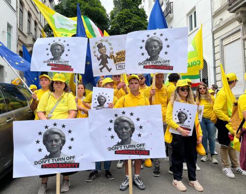 Roncalli (Coldiretti Cremona):"Su Pac in gioco la democrazia e la stessa idea di Europa"