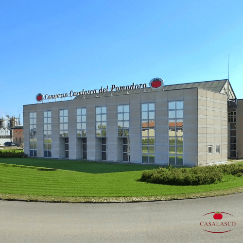 Il consorzio casalasco del pomodoro avvia una filiera integrata del basilico