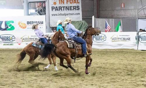 Dal 23 al 25 maggio in fiera torna il Salone del cavallo americano
