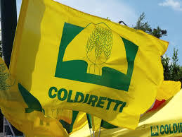 Il 19 marzo agricoltori cremonesi di Coldiretti in piazza a Parma per chiedere più controlli sui cibi da laboratorio