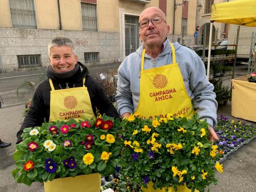 Campagna Amica domenica 16 marzo a Crema