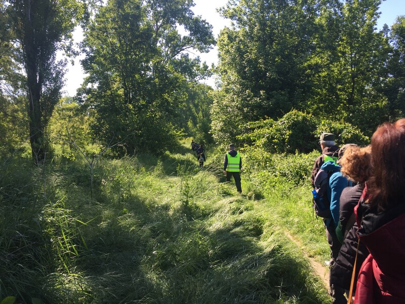 Fino al 31 agosto iscrizioni aperte al corso per diventare guardia ecologica volontaria