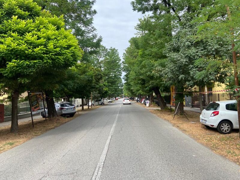 Via agli abbattimenti delle piante in via Serio, la polemica rimane rovente