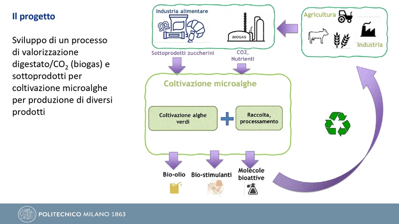 Progetto AR LGH_pages-to-jpg-0004.jpg