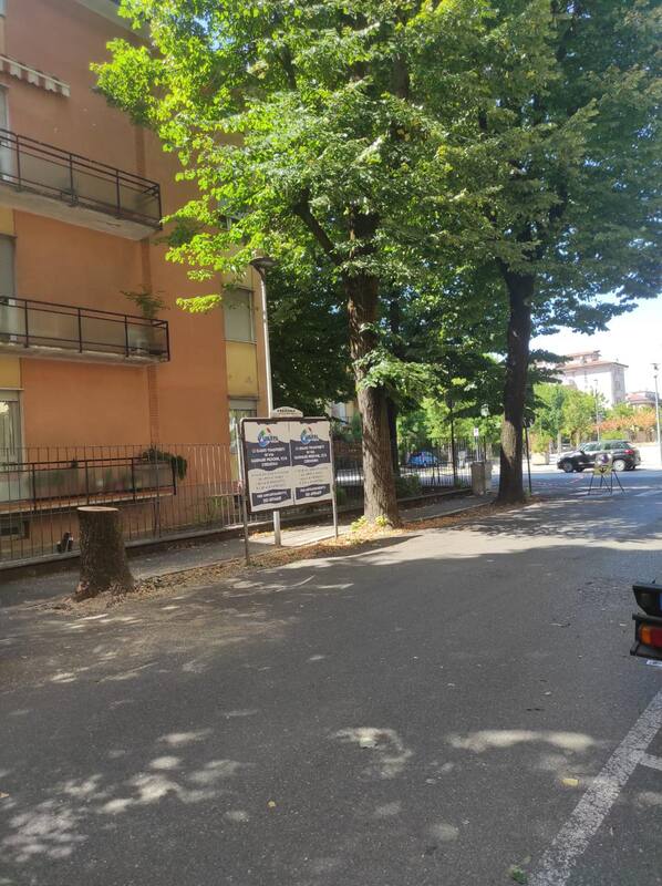 Il Comune interviene sulla questione alberi di via Adda con un comunicato molto diretto