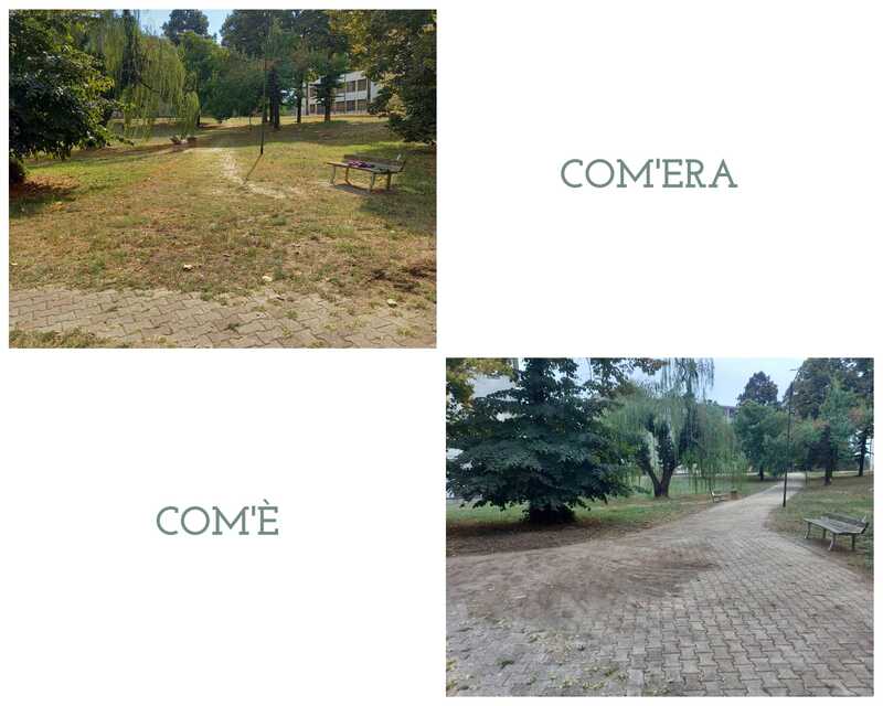 zaist1.jpg