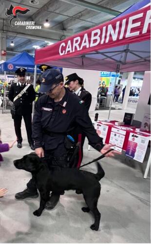 Petfestival di Cremona: l'arma dei carabinieri in campo contro droga, bullismo, violenza di genere, truffa agli anziani, sabato dimostrazione del cane antidroga