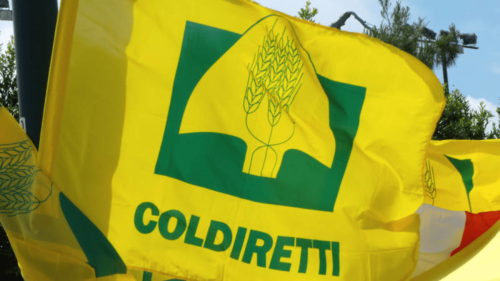 Coldiretti:"Dazi, autosufficienza alimentare diventa priorità per 79% italiani"