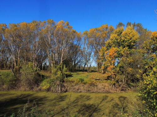 L'autunno sul Po: il comitato Amici del grande fiume invita a coglierne la bellezza