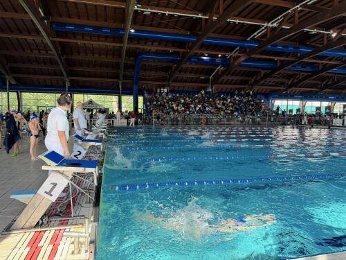 Domenica prossima "Baldesio Swim Cup" alla Comunale: evento agonistico di livello per inaugurare la nuova piscina dedicata ad Alberto Garozzo, delegato FIN di Cremona per 30 anni