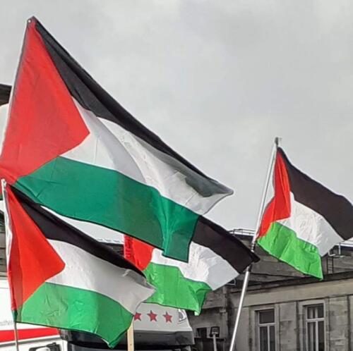 Gaza, sciopero nazionale e cortei, coinvolta anche Cremona (previsto anche un flashmob all'ospedale)