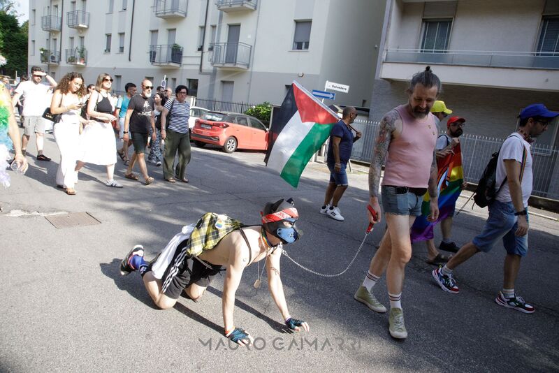 pride67.jpg