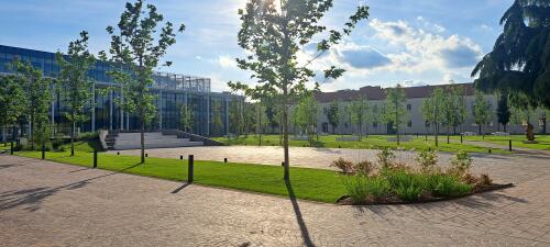 16 nuovi ingegneri si laureano al campus di Cremona del Politecnico di Milano