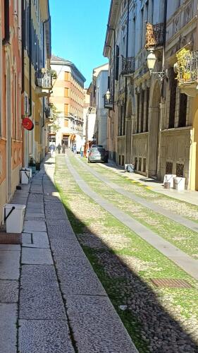 Ceraso:"Sulla raccolta porta a porta e la manutenzione del verde c'è piena sintonia fra maggioranza e opposizione sulle criticità"