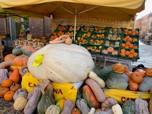 Festa della zucca, domenica 12 ottobre in piazza Stradivari a Cremona