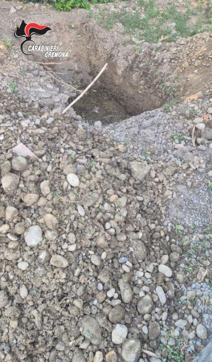 Uccide i cani e sotterra le carcasse: i carabinieri di Crema scoprono e denunciano un 64enne