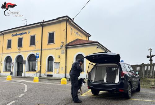 Casalmaggiore, servizio coordinato di controllo da parte dei Carabinieri della compagnia: una persona segnalata alla prefettura
