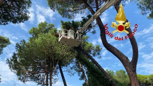 Vigili del fuoco di Cremona in azione a Cervia per riparare i danni del maltempo