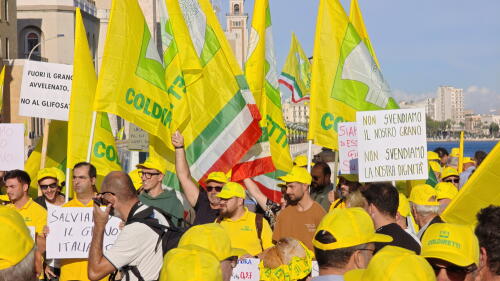 Coldiretti Cremona:"Basta produrre grano sottocosto, serve un margine adeguato per le aziende agricole"