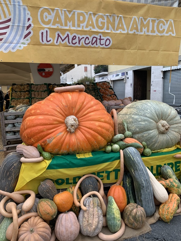 Domenica 26 settembre giornata della zucca al mercato di Campagna Amica a Crema