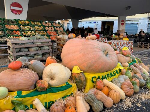 Domenica 28 settembre festa della zucca al mercato di Campagna Amica a Crema
