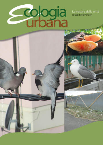 Atlanti ornitologici urbani, disponibile una nuova metodologia