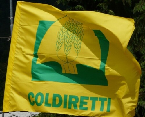 Servizio civile universale, Coldiretti propone l'esperienza col patronato Epaca