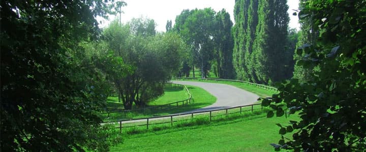 La giunta comunale approva un ambizioso progetto per rifare parchi e strutture nei pressi del fiume Po