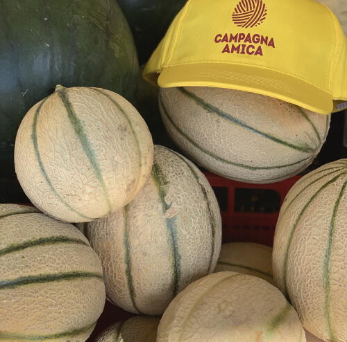 Domenica festa del melone a Crema con Campagna Amica