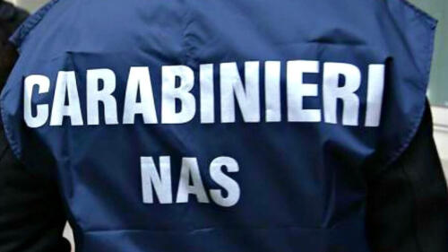 Bar del centro, controlli dei Nas: un bar chiuso per carenze igienico-sanitarie, multe a diversi locali per oltre 8000 euro complessivi
