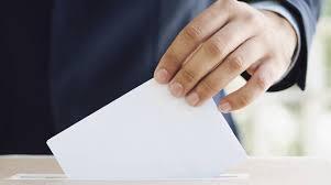 Elezioni dei comitati di quartiere: i risultati