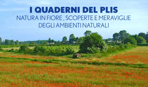 Presentato il secondo quaderno del Plis del Po e del Morbasco, protagonisti i fiori