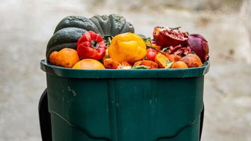 Giornata di prevenzione dello spreco alimentare: le iniziative del Comune di Cremona
