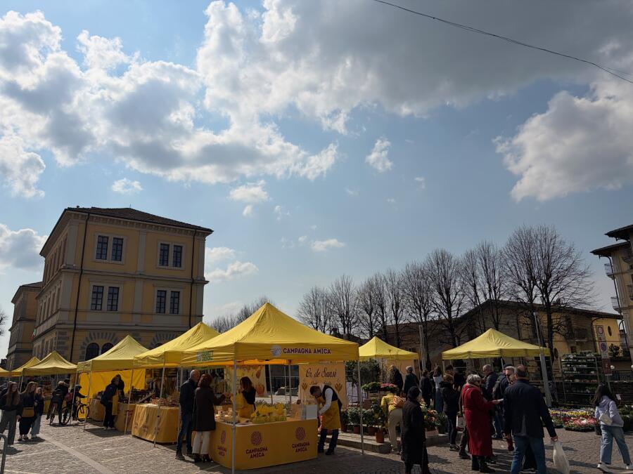 Campagna Amica il 28 giugno a Soncino