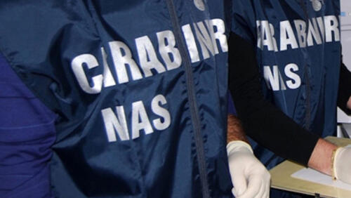 Il Nas pubblica il bilancio dei suo interventi nel 2025: 55 denunciati e 243 sanzionati