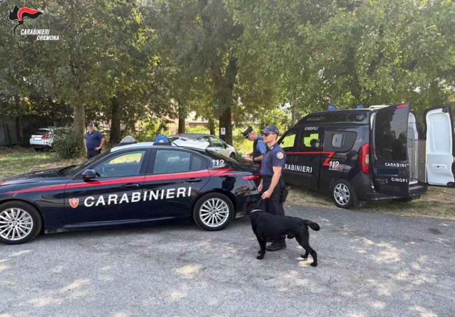 Casalmaggiore: servizio coordinato nel casalasco dei carabinieri, due persone denunciate e una segnalata