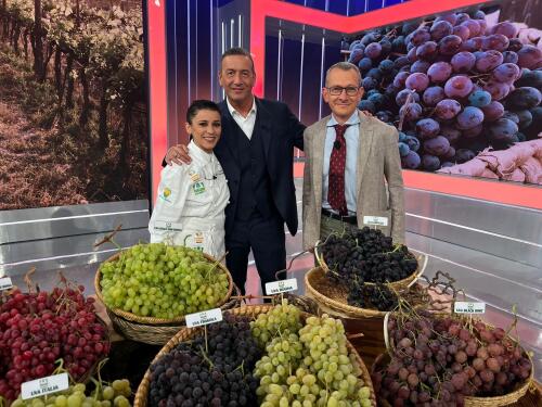 Coldiretti Cremona, uva protagonista a UnoMattina Estate con la cremonese Elisa Mignani