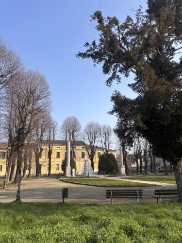 Dal 9 marzo lavori a Piadena Drizzona per sistemare le piante dei giardini di via Cavallotti