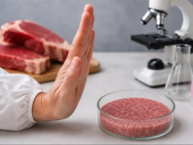 Coldiretti Cremona esulta:"Recepita dalla Ue la nostra richiesta, divieto di chiamare carne o bistecca o simili i prodotti sintetici"