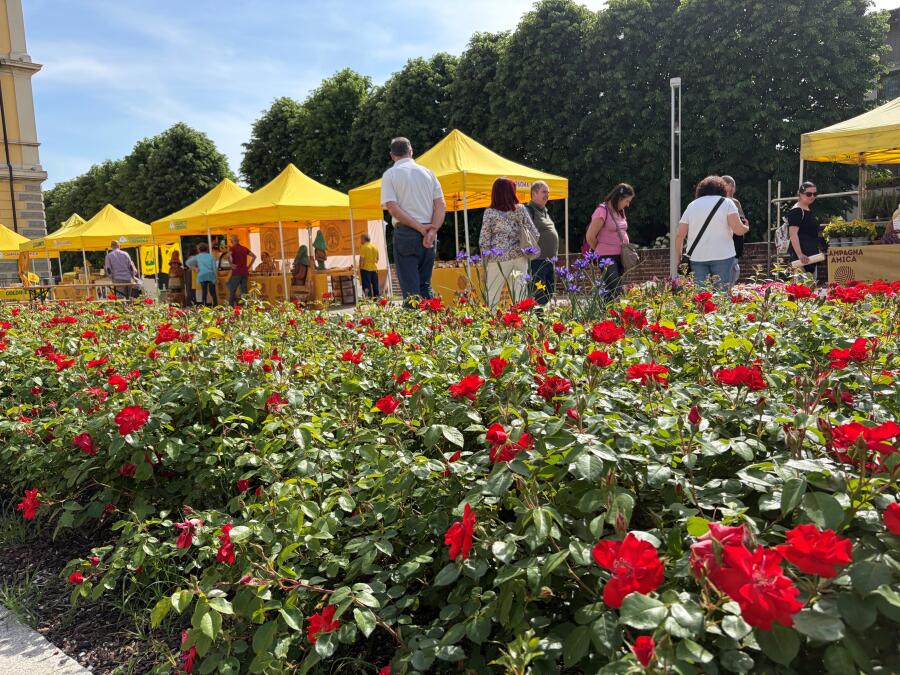 Il 26 luglio mercato di Campagna Amica a Soncino