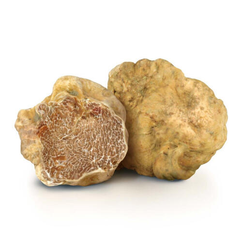 Il tartufo d'Alba non era di Alba: sanzioni per due aziende del territorio, presunte responsabili di illecito