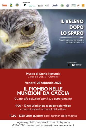Il 28 febbraio in sala Puerari workshop scientifico sul piombo nelle munizioni da caccia e le possibile vie di smaltimento
