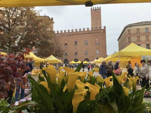 Domenica 8 marzo Campagna Amica in piazza Stradivari