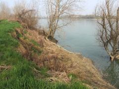Cedimenti delle sponde del Po sempre più evidenti nella zona di San Daniele Po