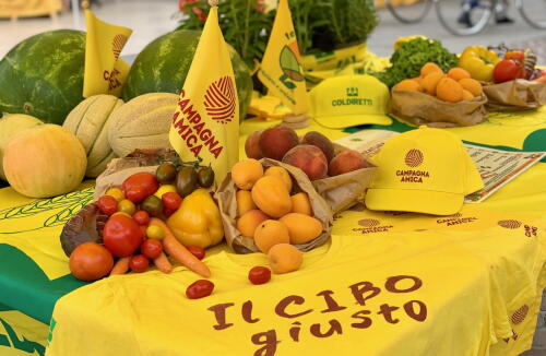 Campagna Amica torna domenica 24 agosto in piazza Stradivari