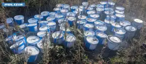 L'intervento della polizia sventa un furto in una azienda del territorio